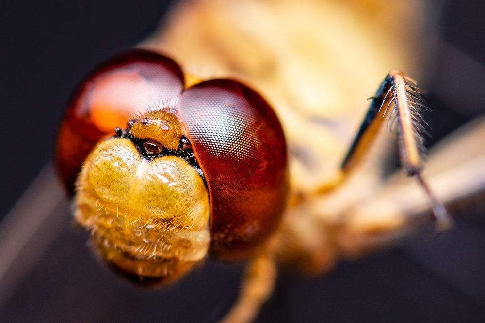 Photograph by Алексей Карпинчик