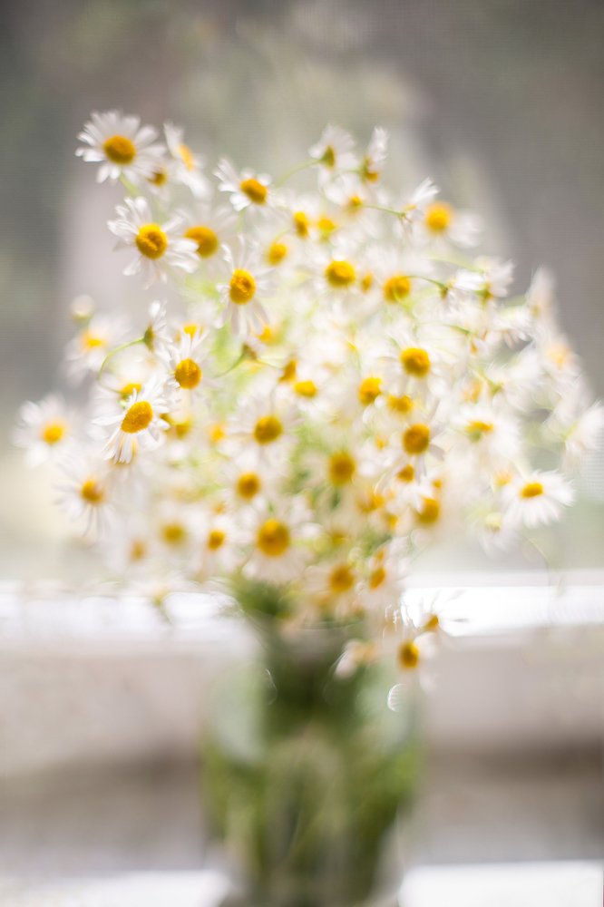 Photograph by Виктория Камышникова