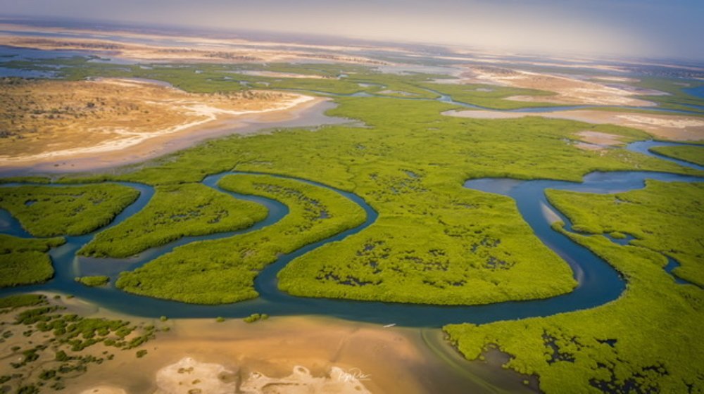 Photograph by Papa youssoupha seck Pyspic