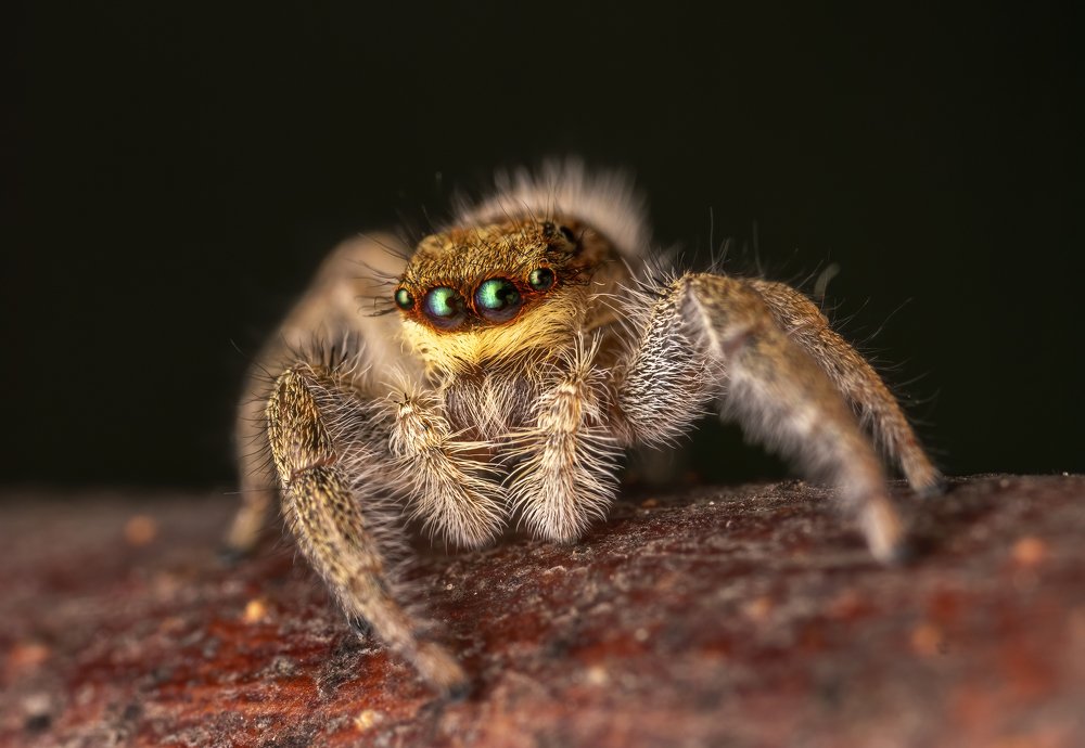 Photograph by Глеб Коровко