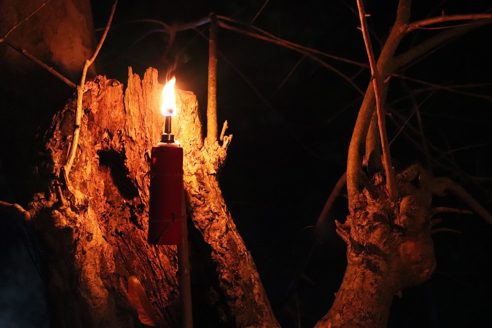 Photograph by Jahin khandakar Md.