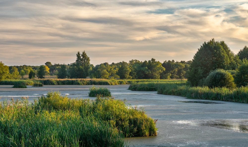 В часы заката.