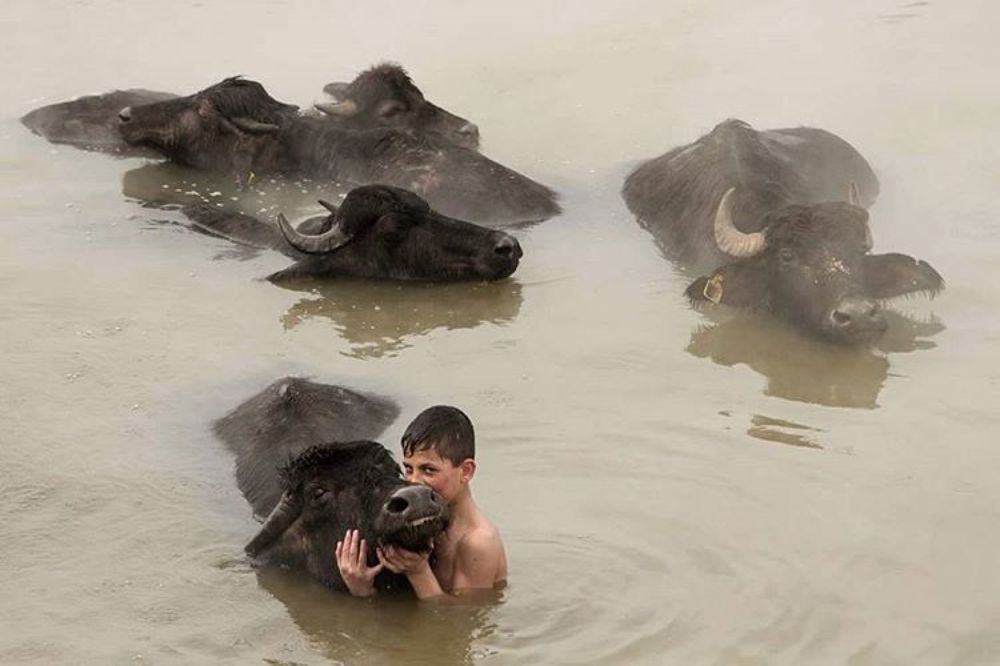 Фотография автора OZLEM