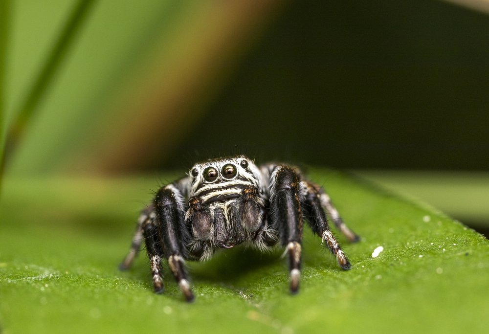 Photograph by Глеб Коровко