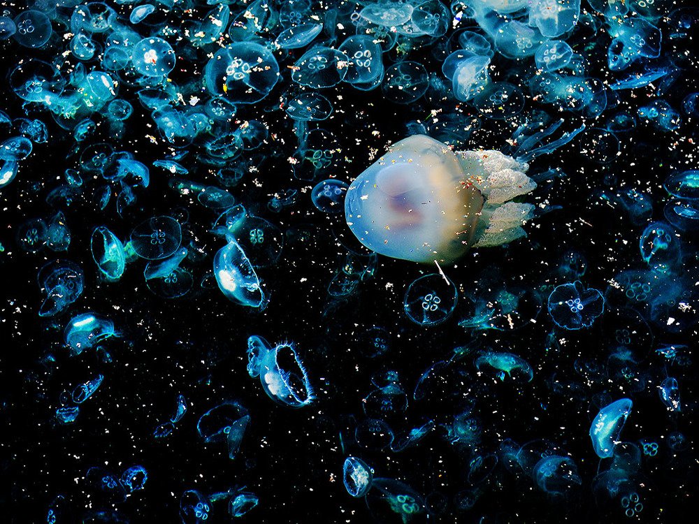 Photograph by Bekir Yesiltas