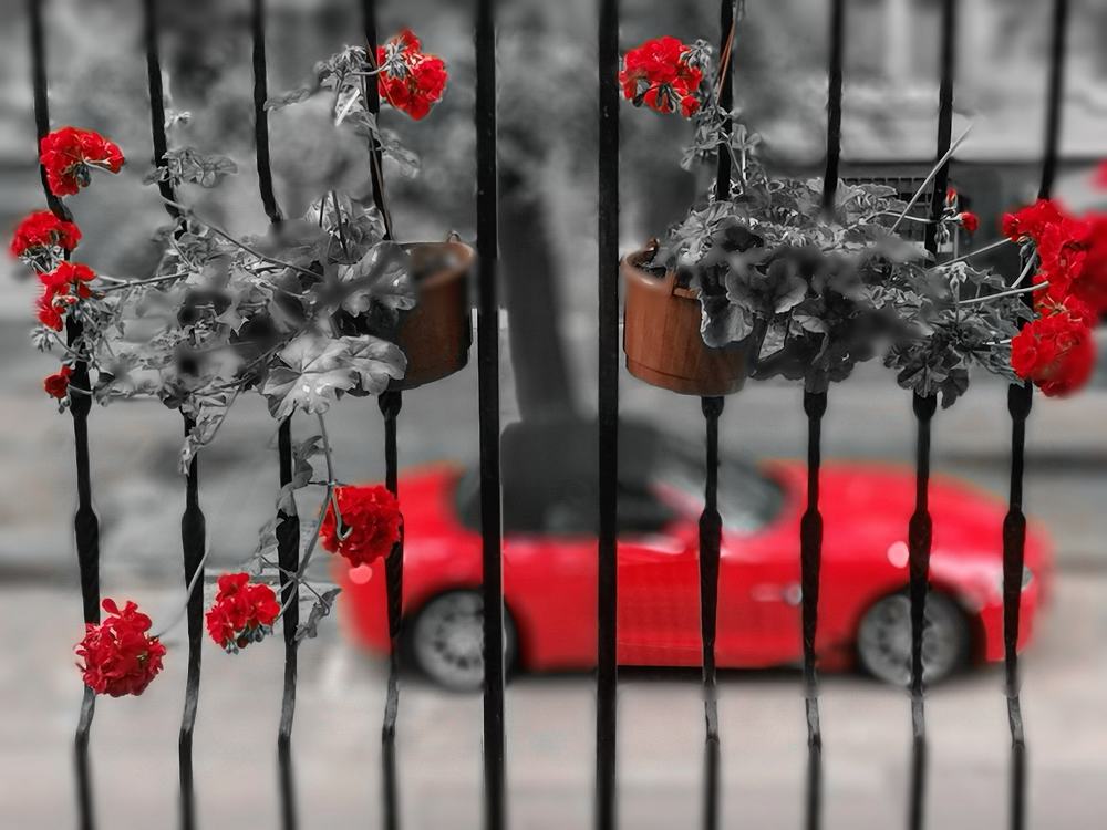 Три цвета - красный.