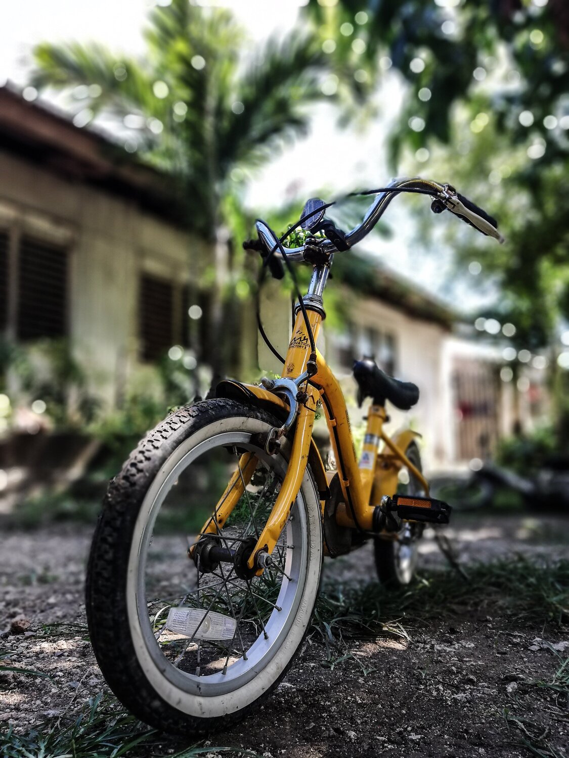 Photo #4887009