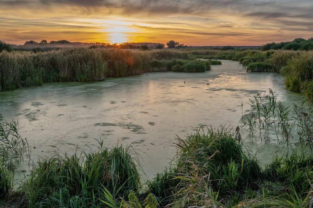 Фотография автора Виктор Долматов