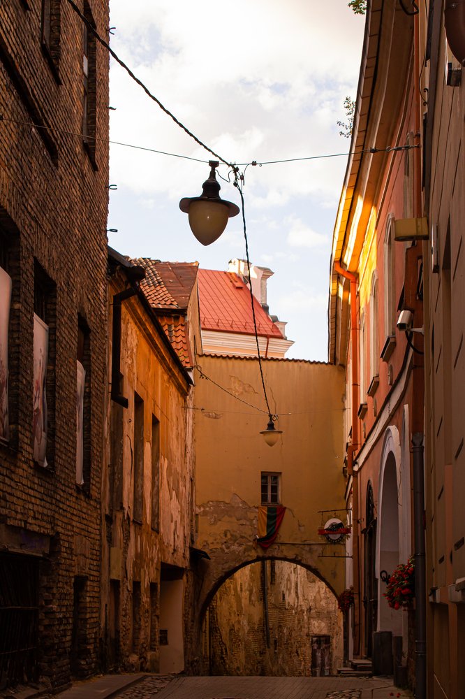 Photograph by Евгения Луговая