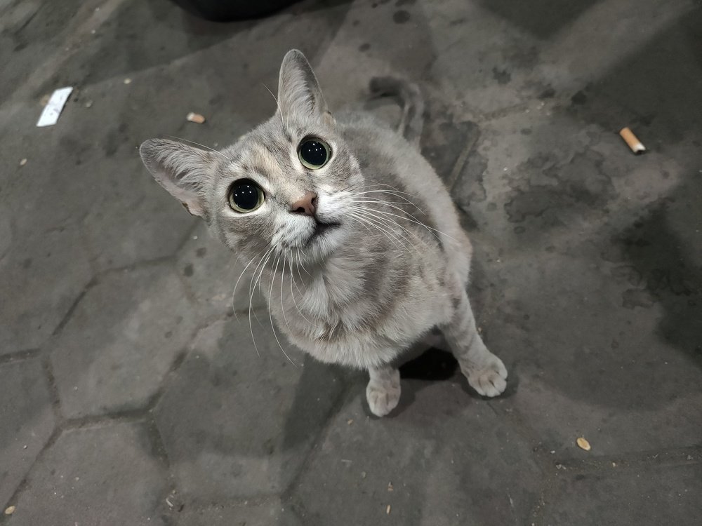 Photograph by OMAR Mourtagy Helal