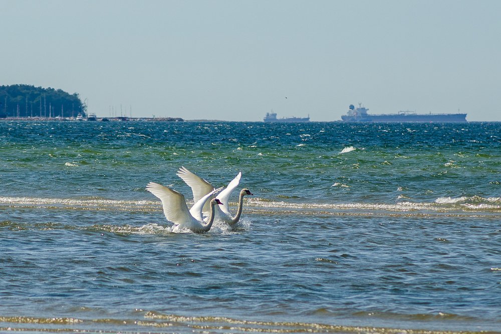 Фотография автора Юрий Макаров