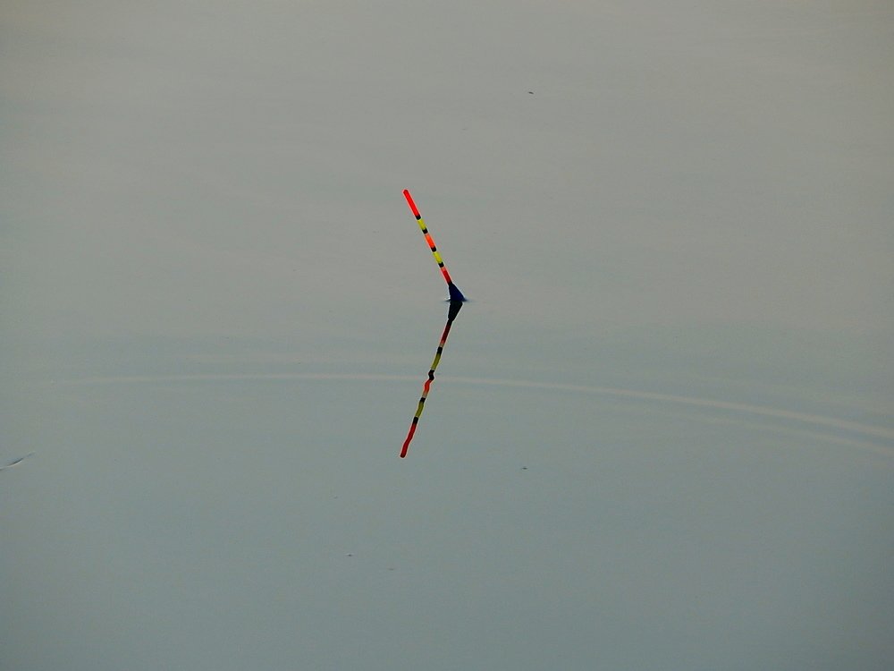 Photograph by Татьяна