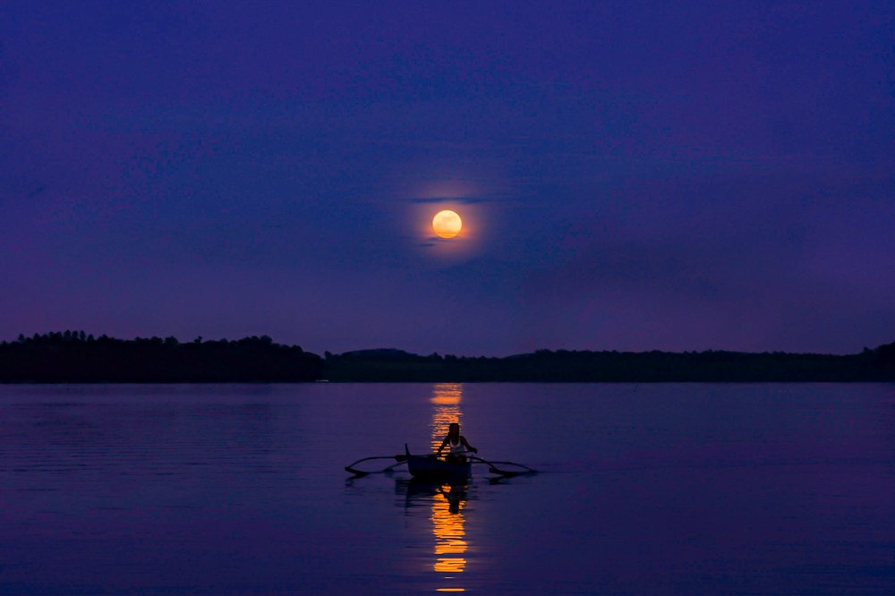 Photograph by Janelle Alegria