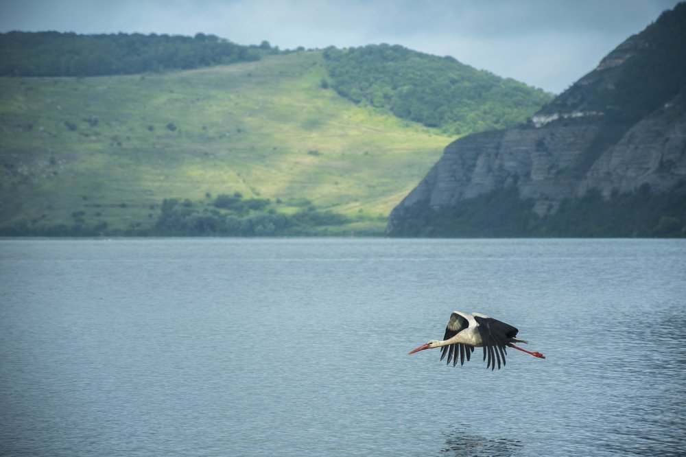 Photograph by Наталия Мостовая