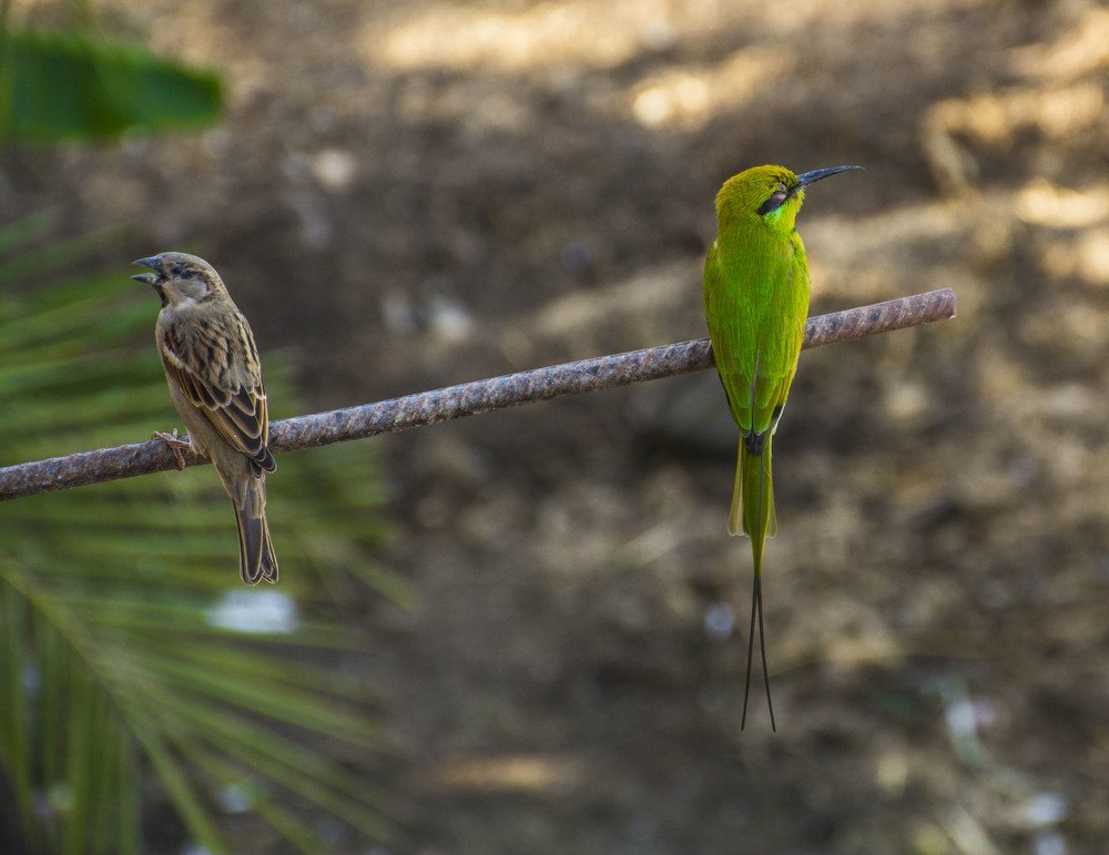 Photograph by islam elsayed eldaramlly