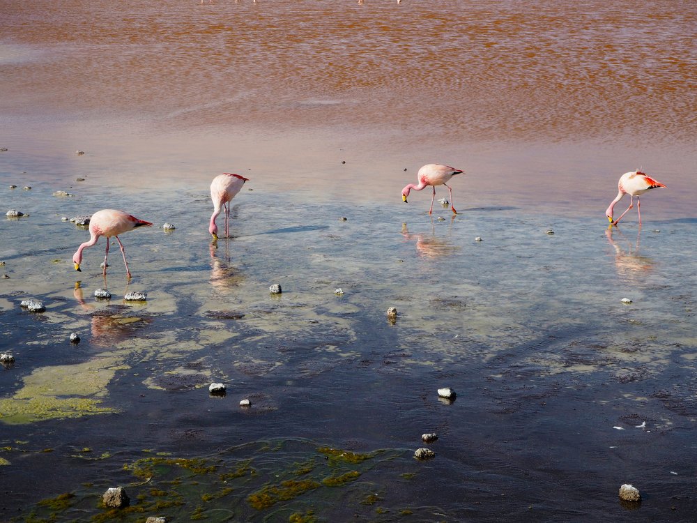Photograph by Laura Boffardi