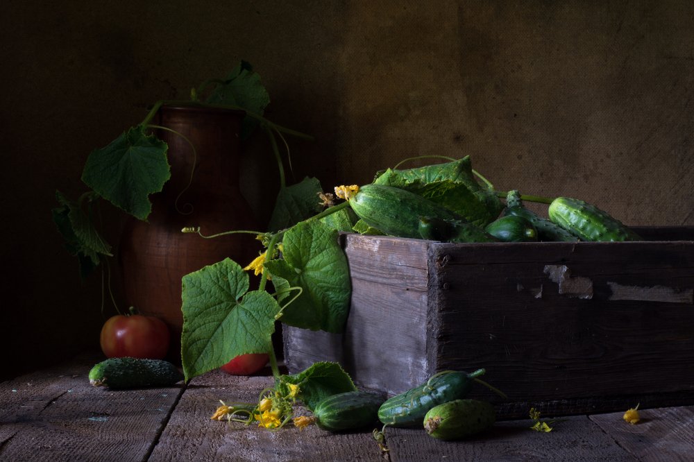 Photograph by Елена Мустафина