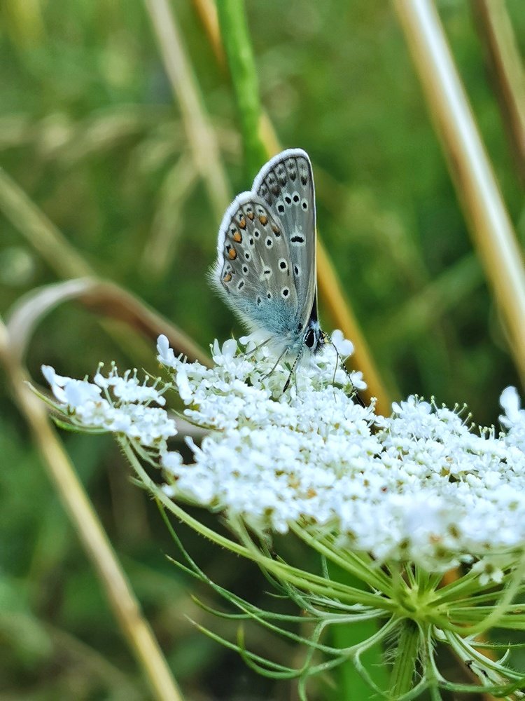 Photograph by Андрей Тур