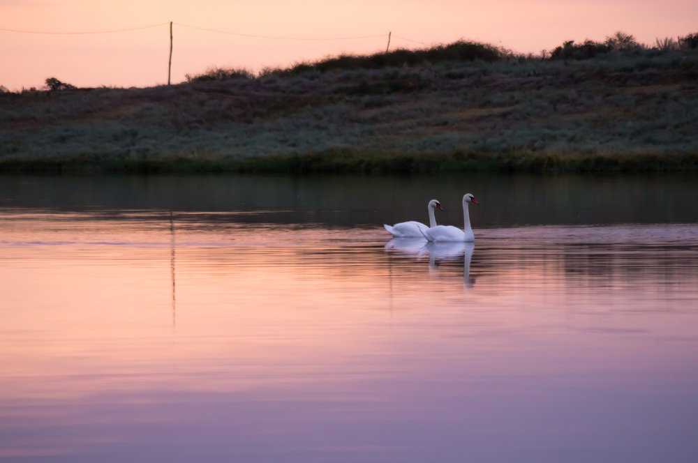 Photograph by Виктор Зотов