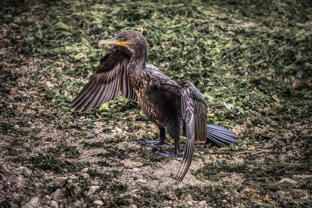 Photograph by Вадим Тихонов