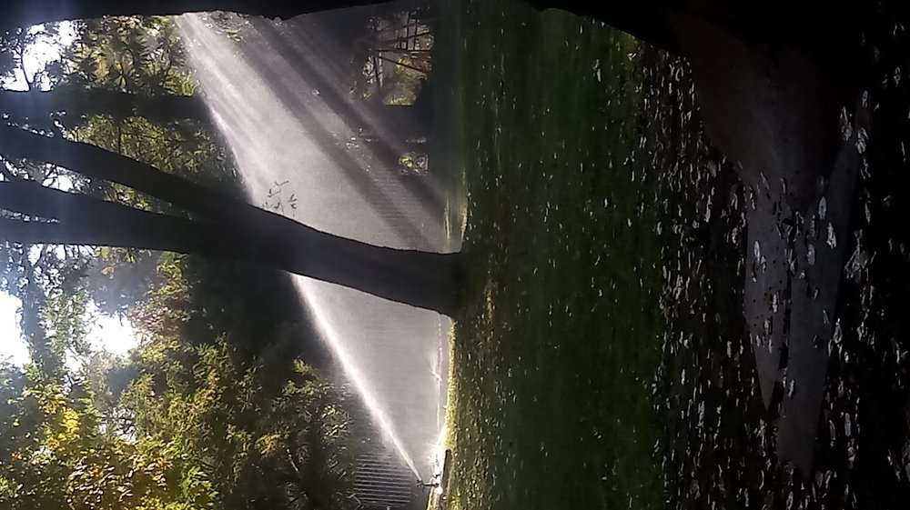 Photograph by Carlos Alberto Martínez González