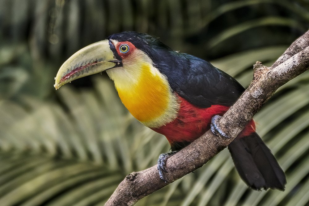 Photograph by Joao R Cortez