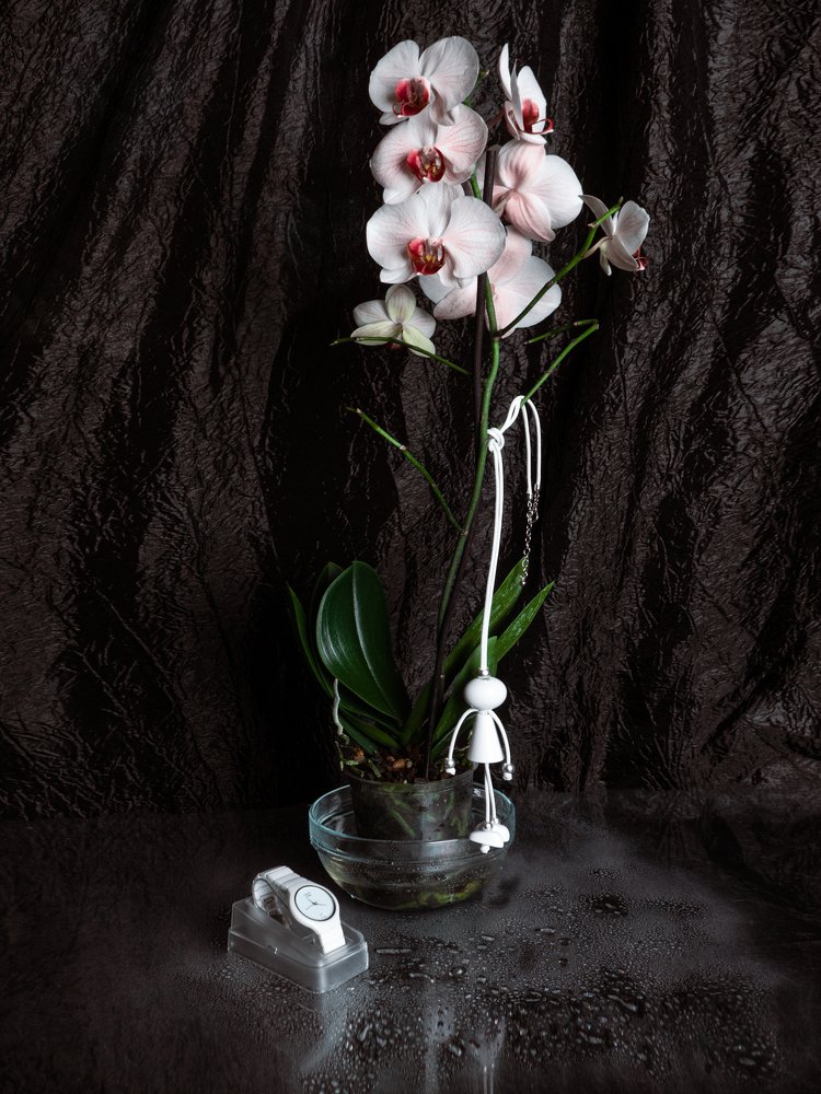 Photograph by Алёна Храмова