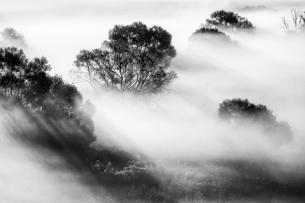 Фотография автора Юрий Сорокин