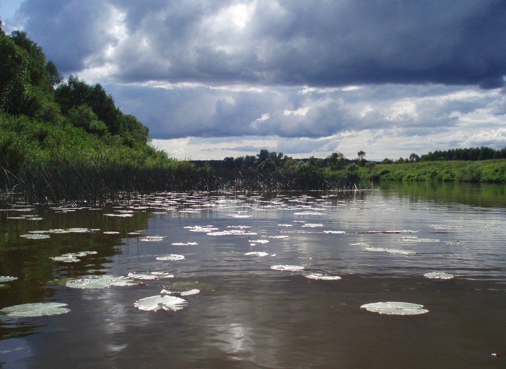 Photograph by Ольга Руднева