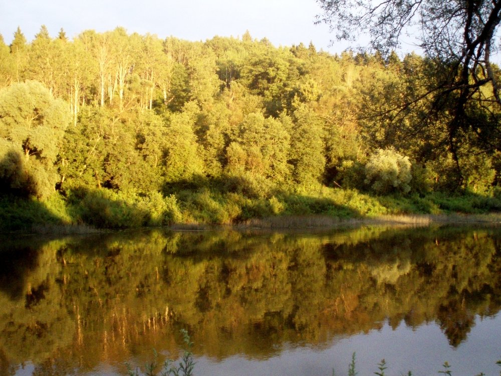 Photograph by Ольга Руднева