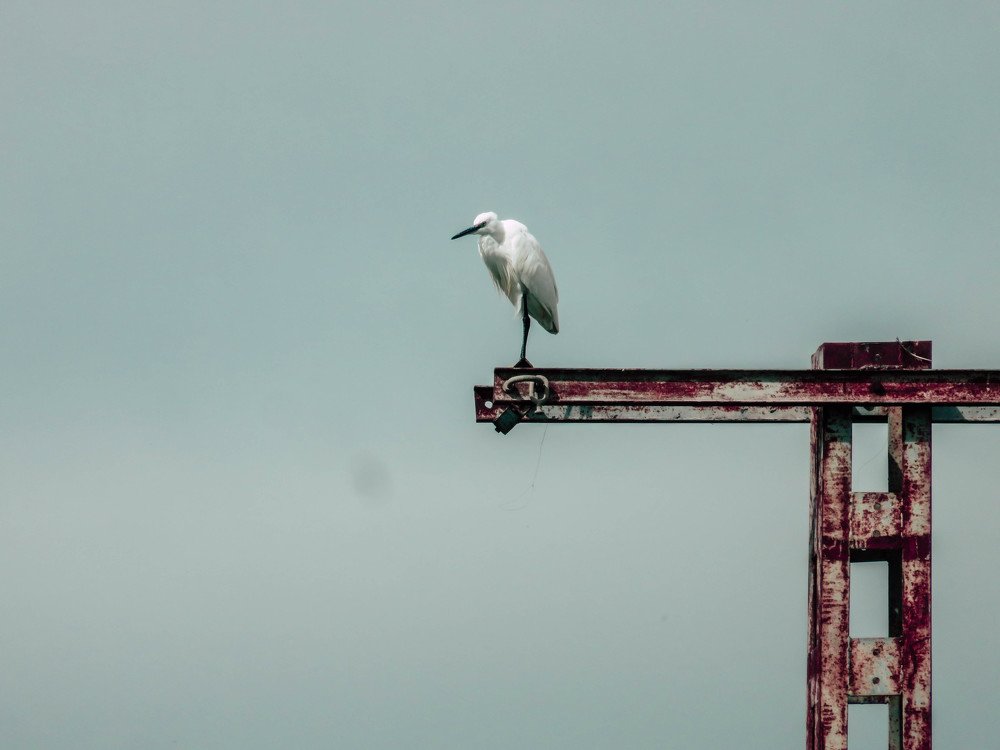 Photograph by moussaab