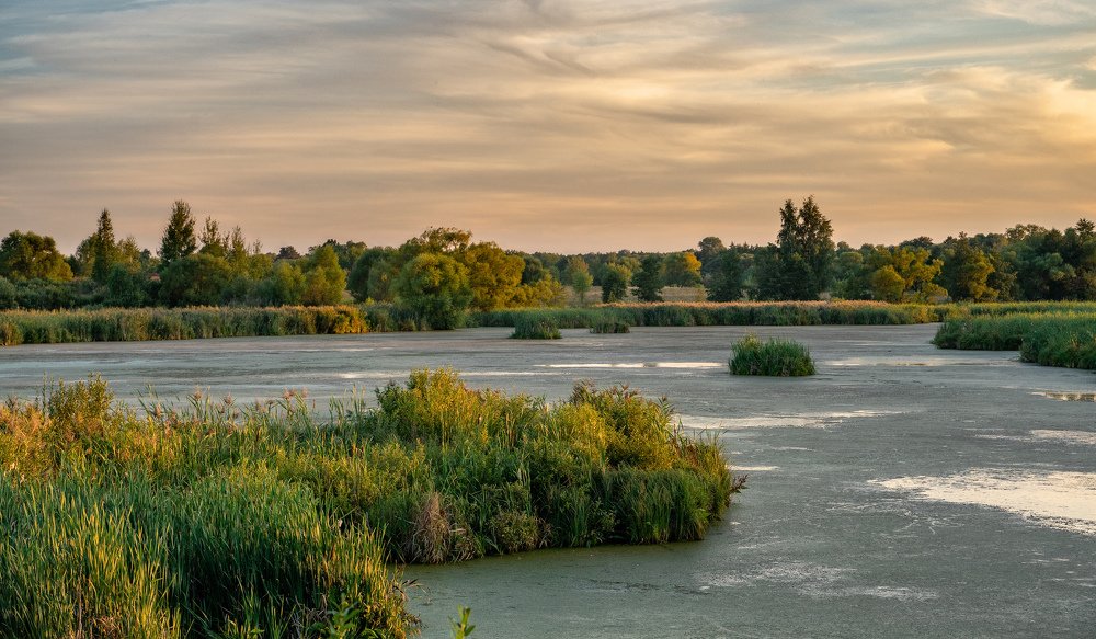 Фотография автора Виктор Долматов