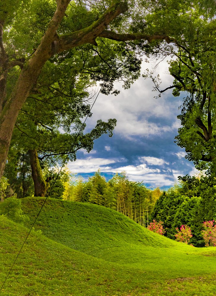 Photograph by Alex Kalpus