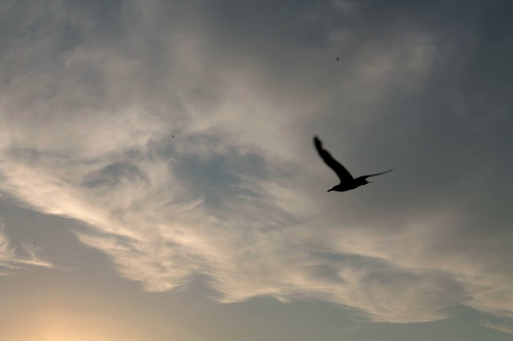 Photograph by Алина Веремеенко