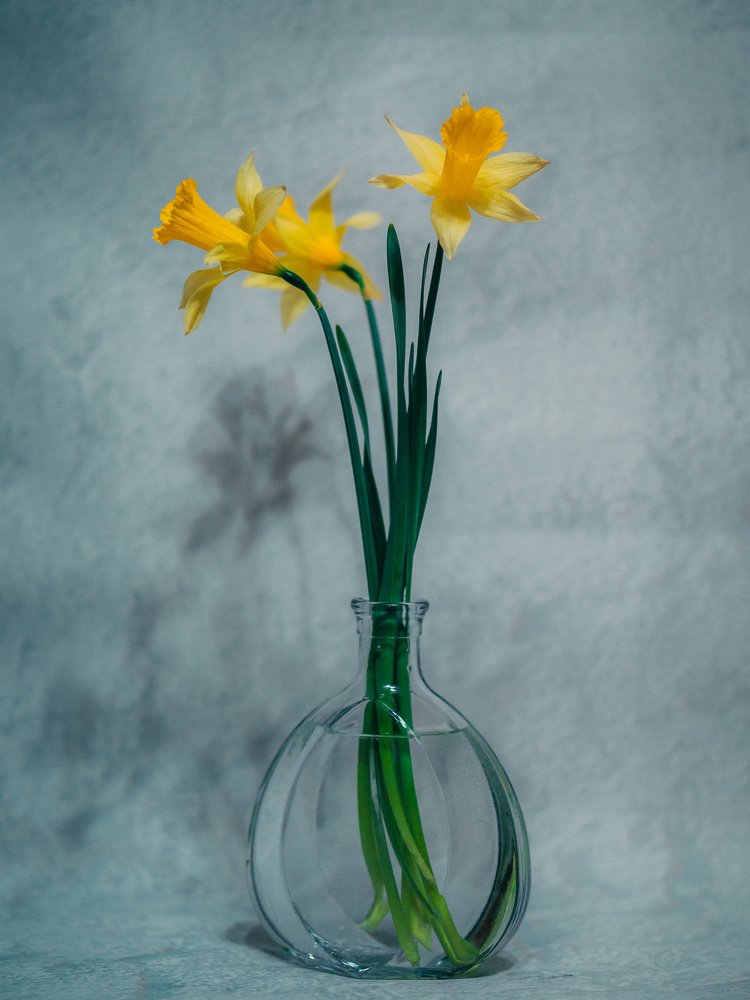 Photograph by Светлана Самсонова