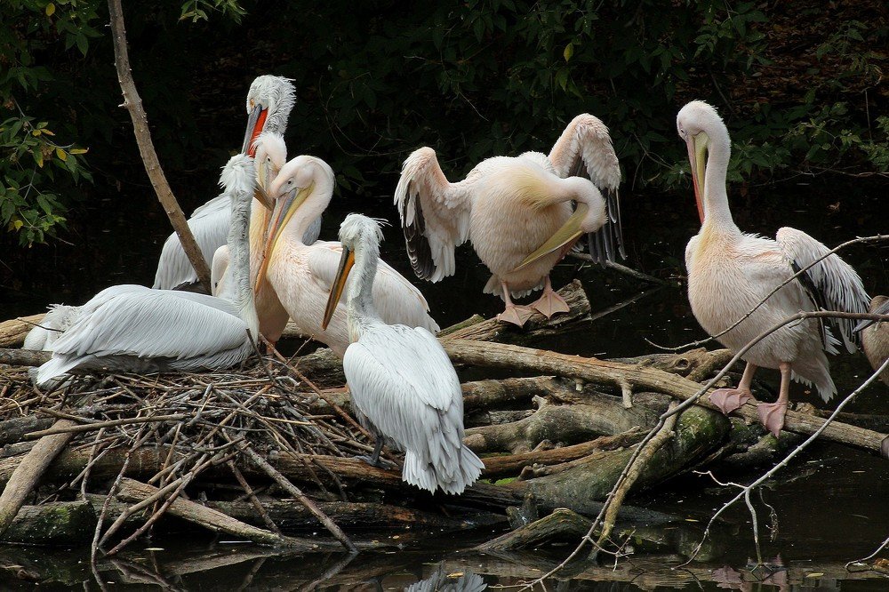 Фотография автора Геннадий Титов