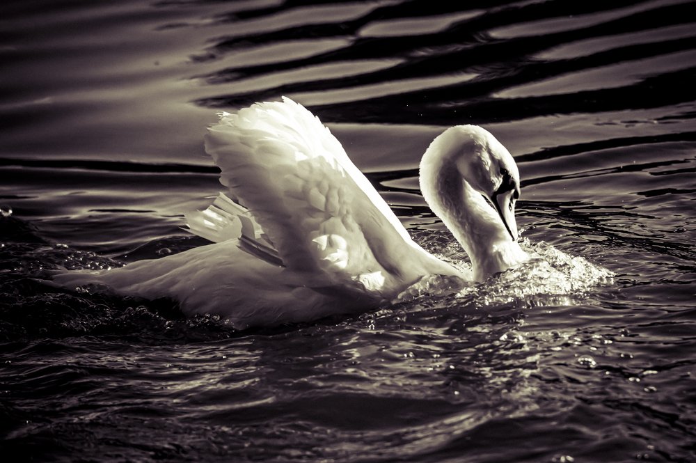 Photograph by Марк Ильин