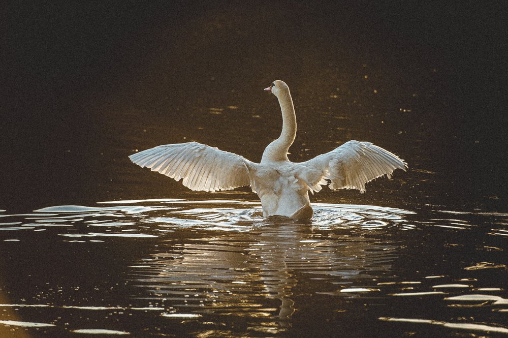 Photograph by Марк Ильин