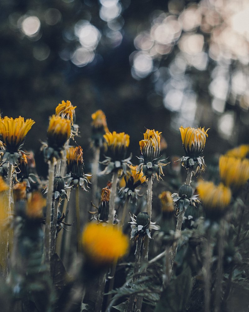 Photograph by Антон Синица