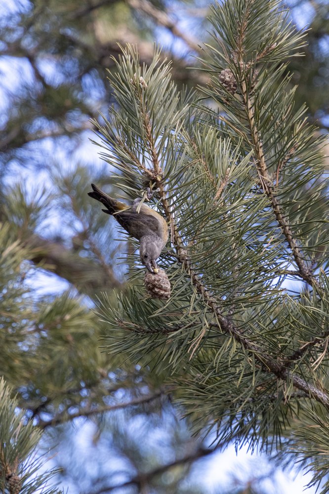 Photograph by Константин Кукушкин