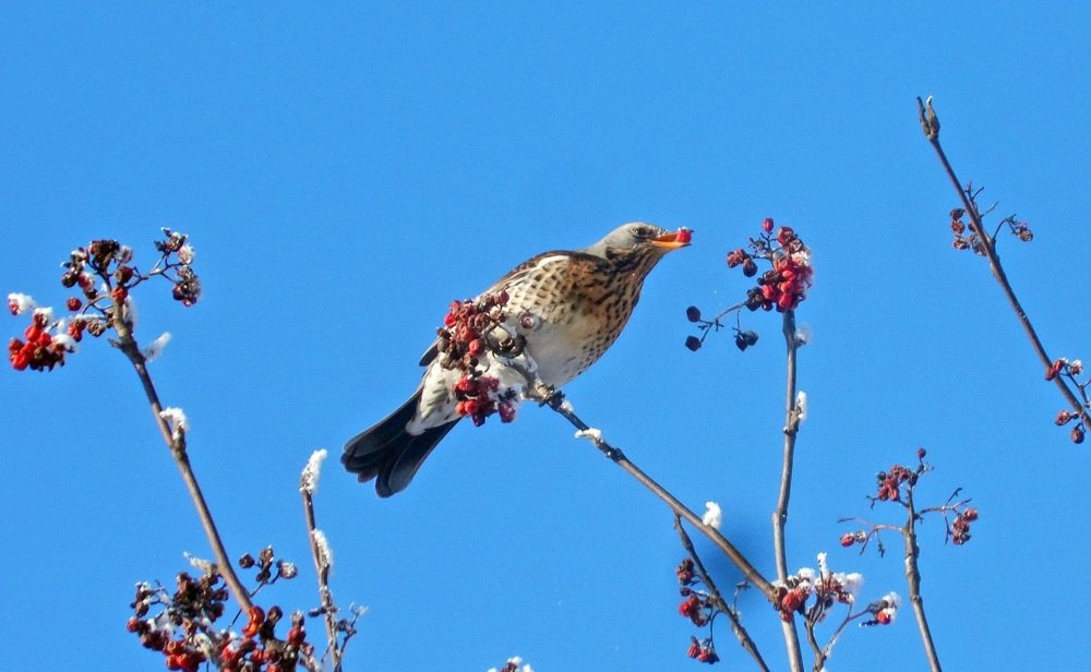 Photograph by Любовь Новикова