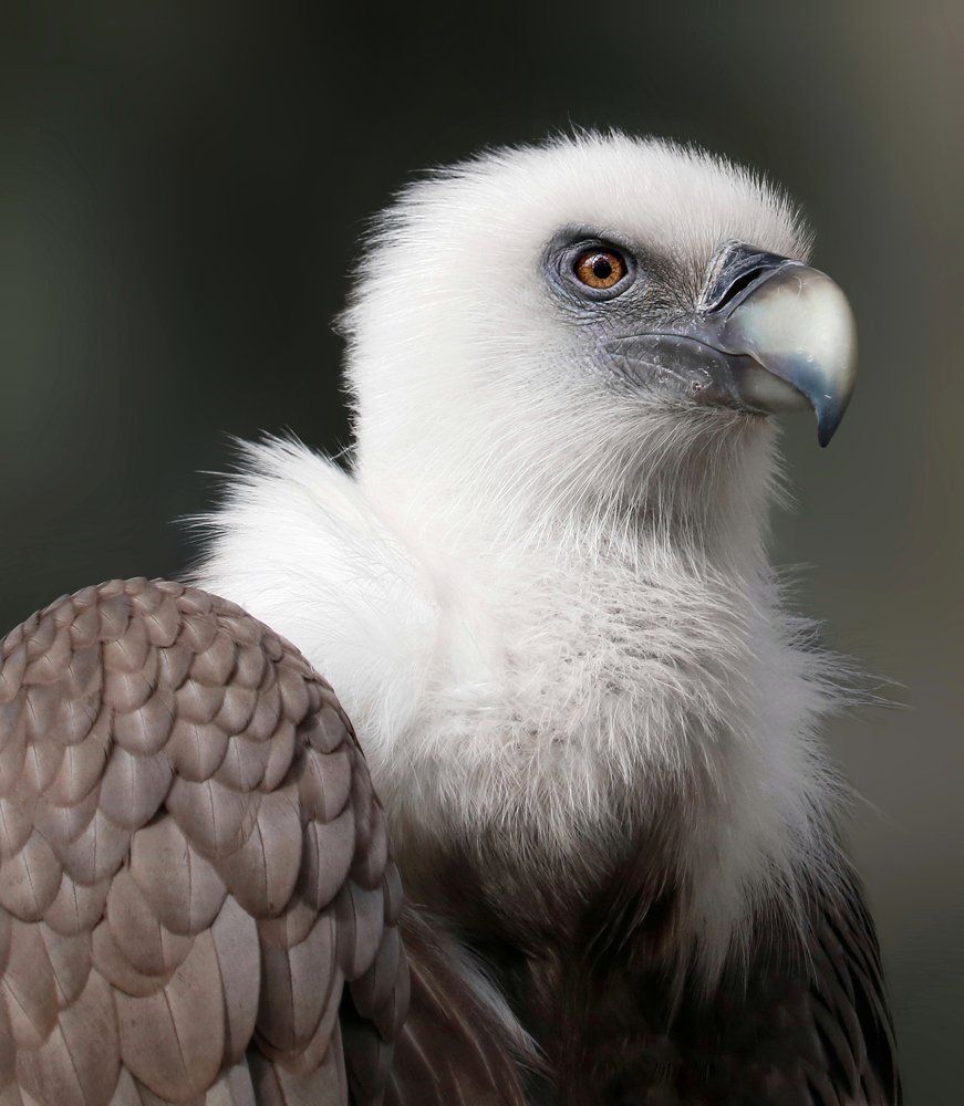 Photograph by Карина Азатян