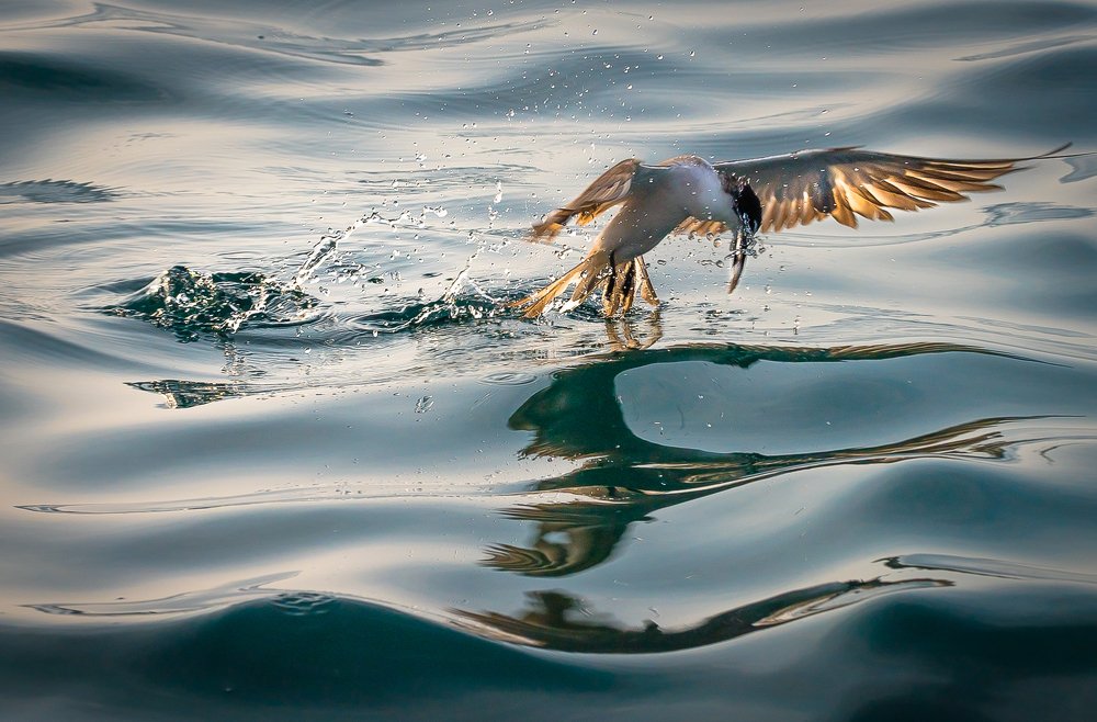 Фотография автора Maurice Leung