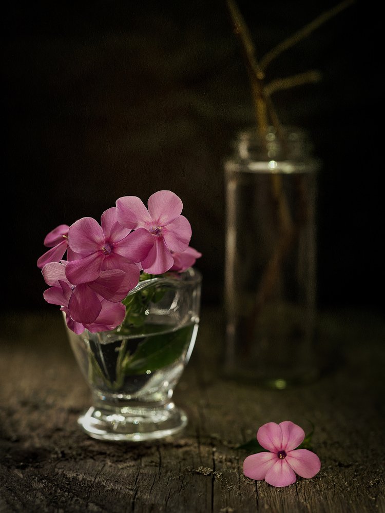 Photograph by Дмитрий Чернин