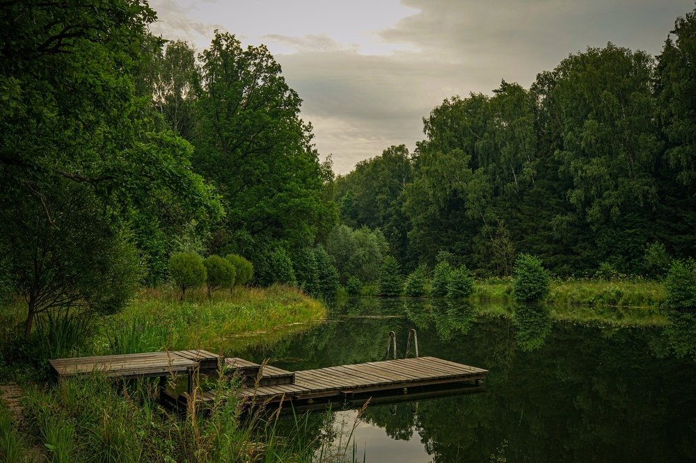 Photograph by Владимир Фирсов