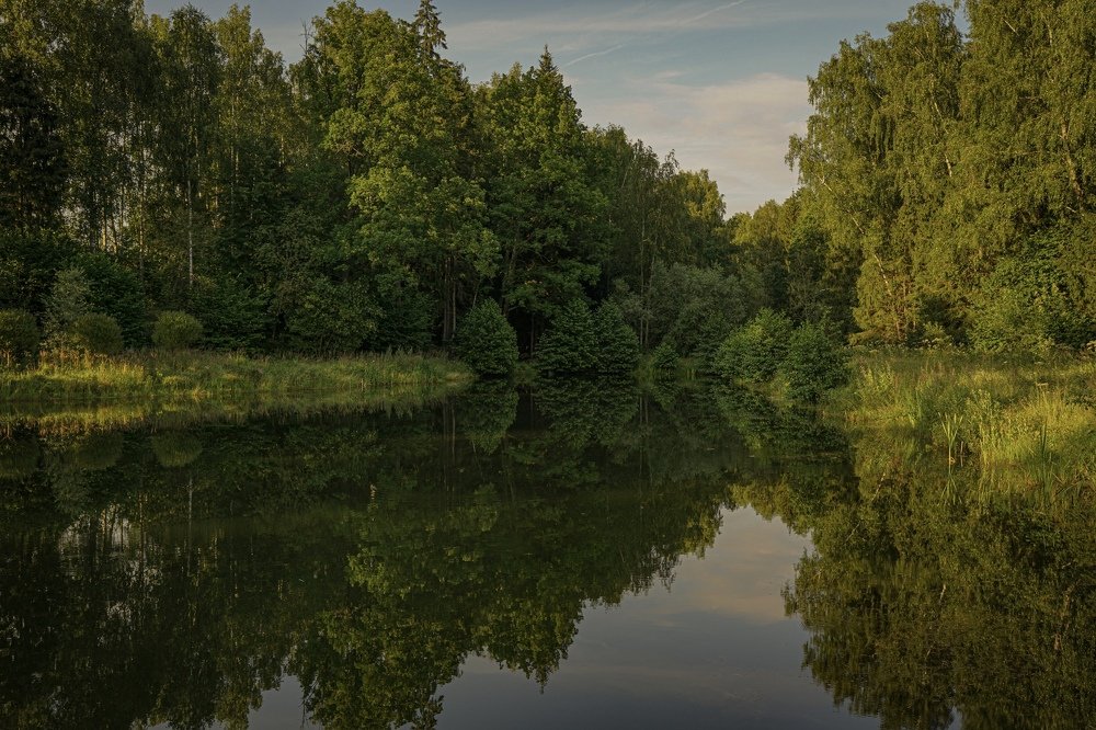 Photograph by Владимир Фирсов