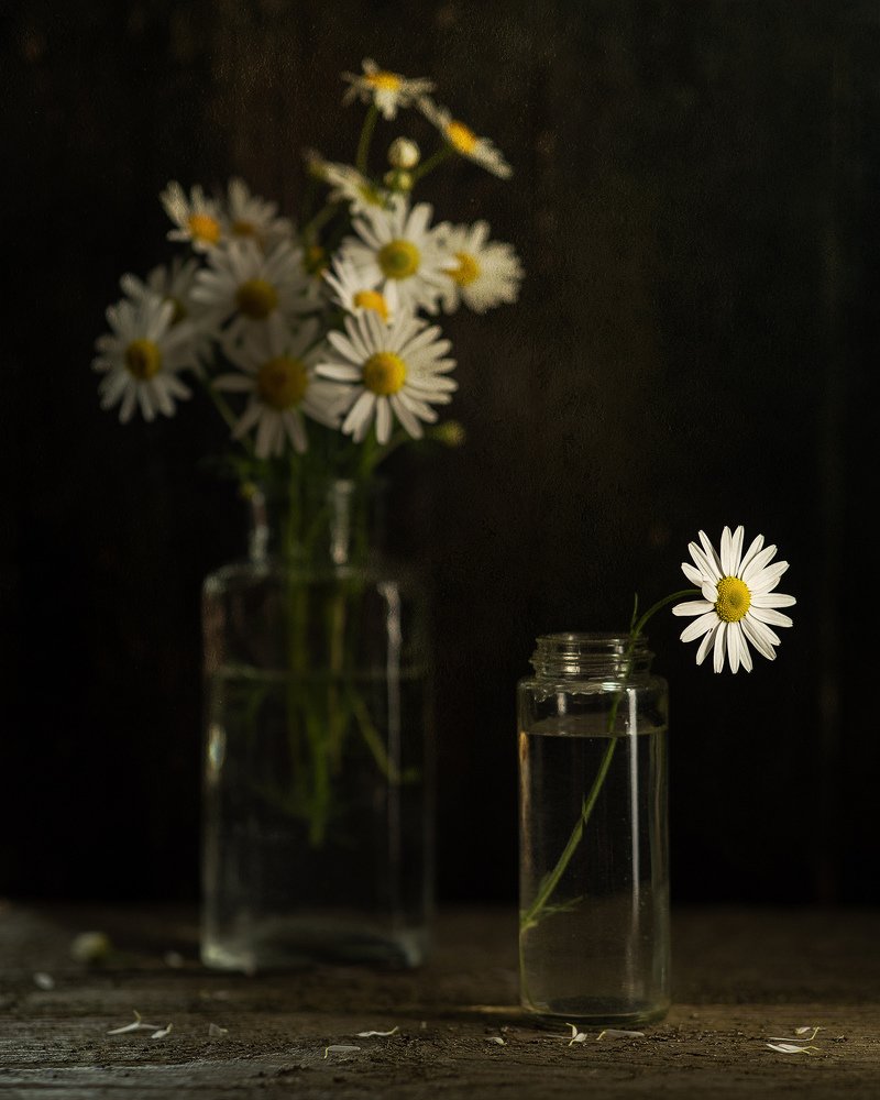 Photograph by Дмитрий Чернин