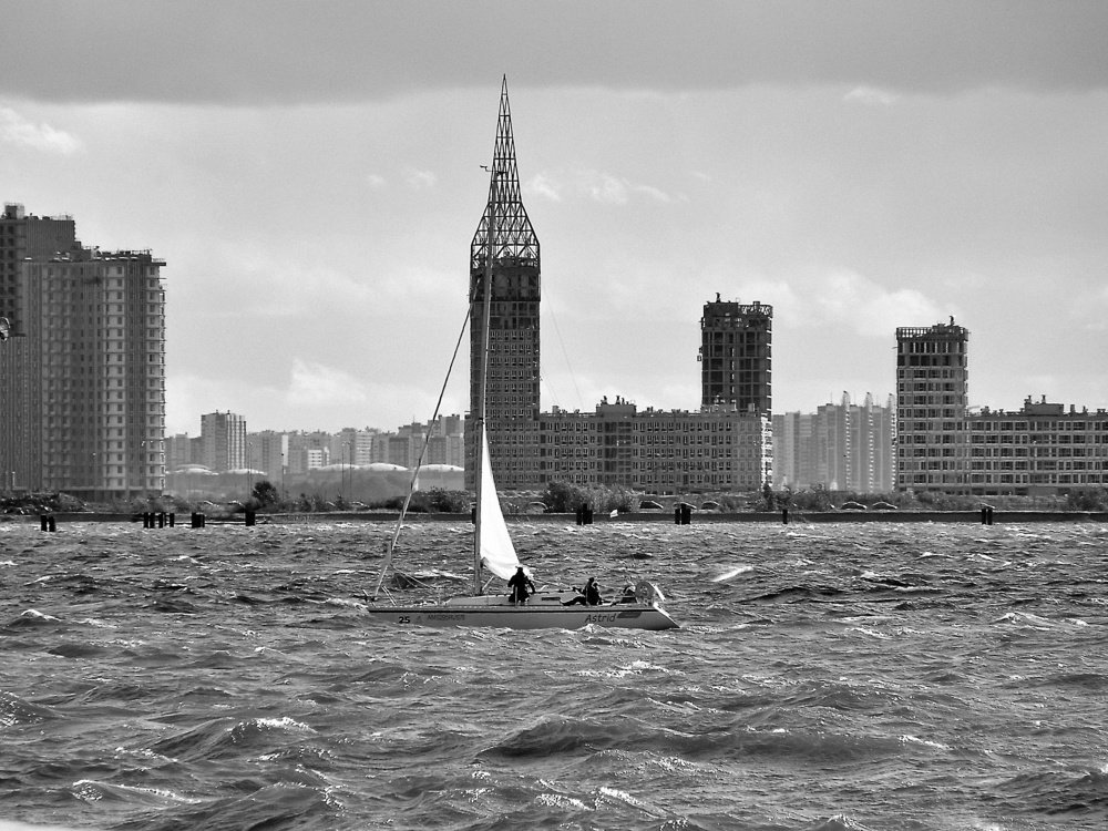 регата (regatta)