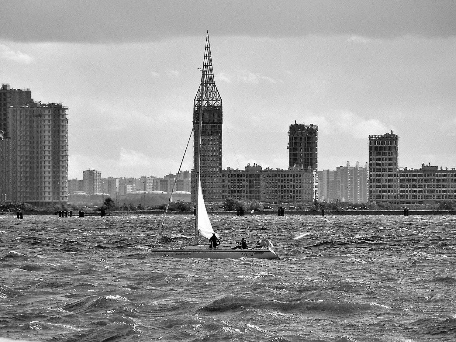 регата (regatta)