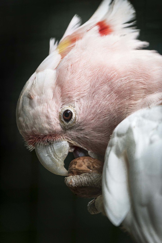 Photograph by Jesus Frias